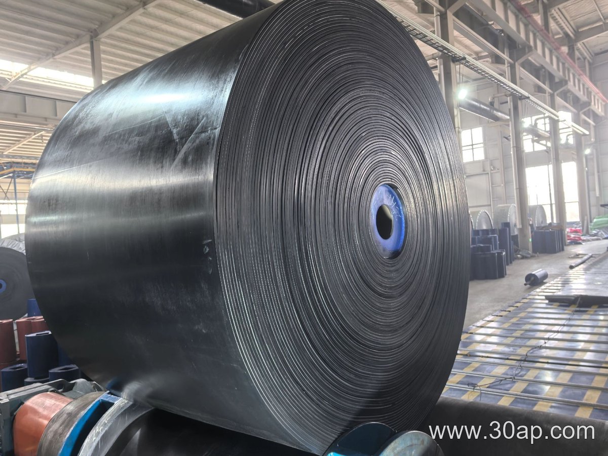 输送带 800mm输送带产品图片