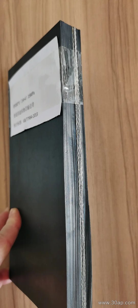 输送带 800mm输送带产品图片