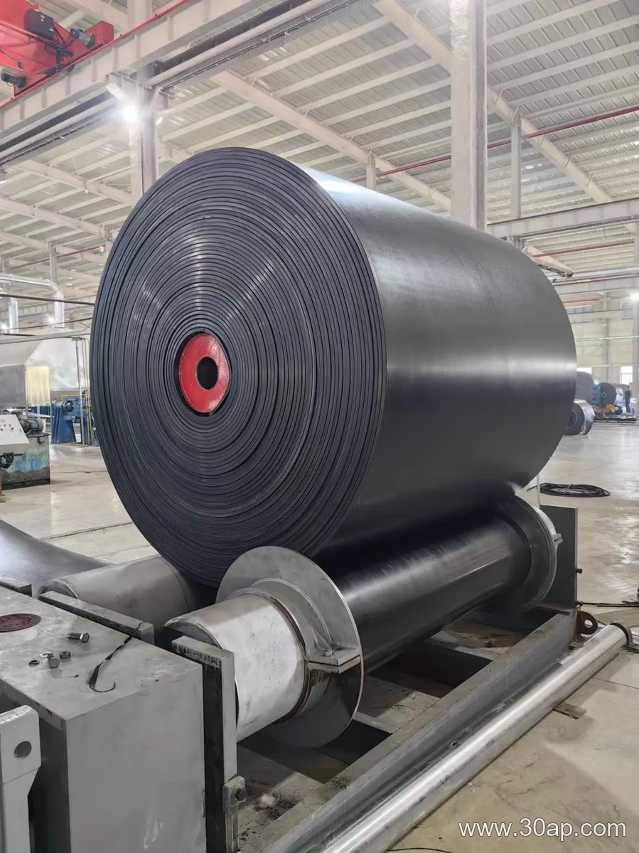 输送带 800mm输送带产品图片